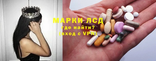 прущие грибы Беломорск