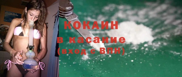 прущие грибы Беломорск