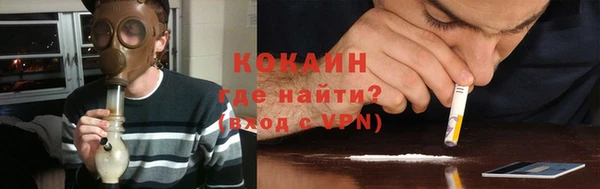 прущие грибы Беломорск