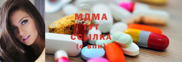 прущие грибы Беломорск