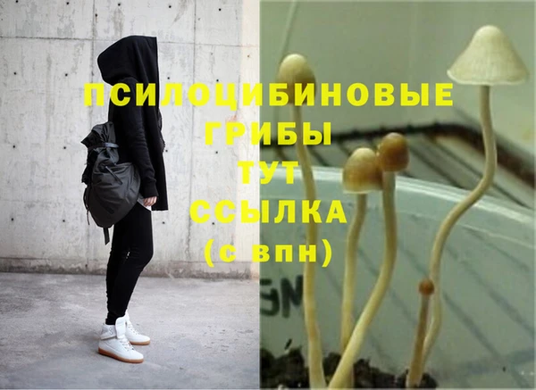 трава Белоозёрский