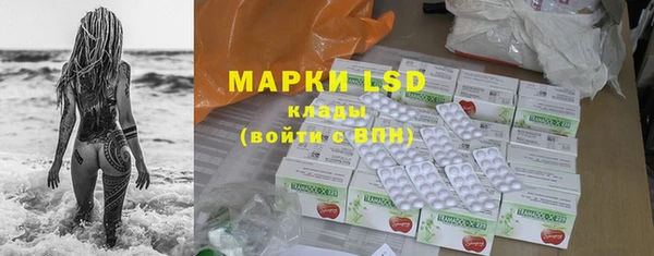 прущие грибы Беломорск