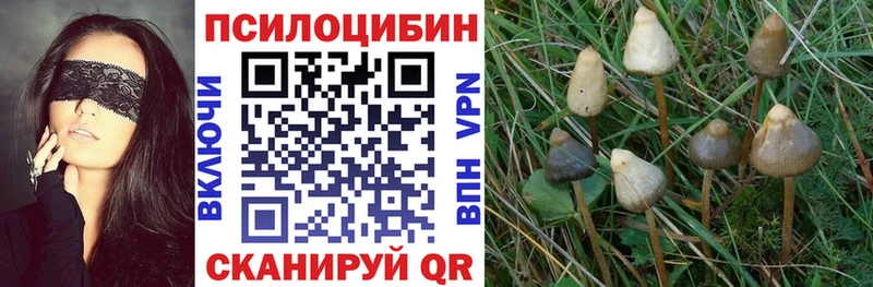 Псилоцибиновые грибы MAGIC MUSHROOMS  MEGA зеркало  Миасс 